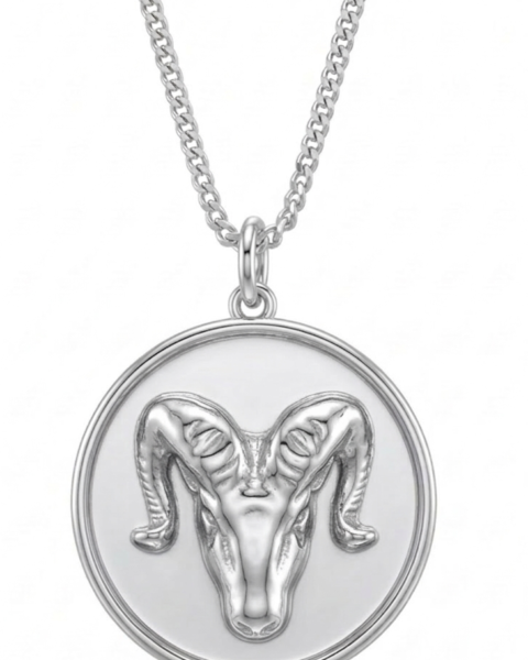 Astrological Zodia Talisman Necklace - Aries